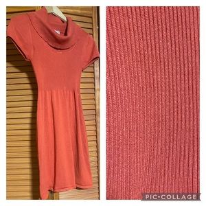 Pink Rose Rust Sweater Dress